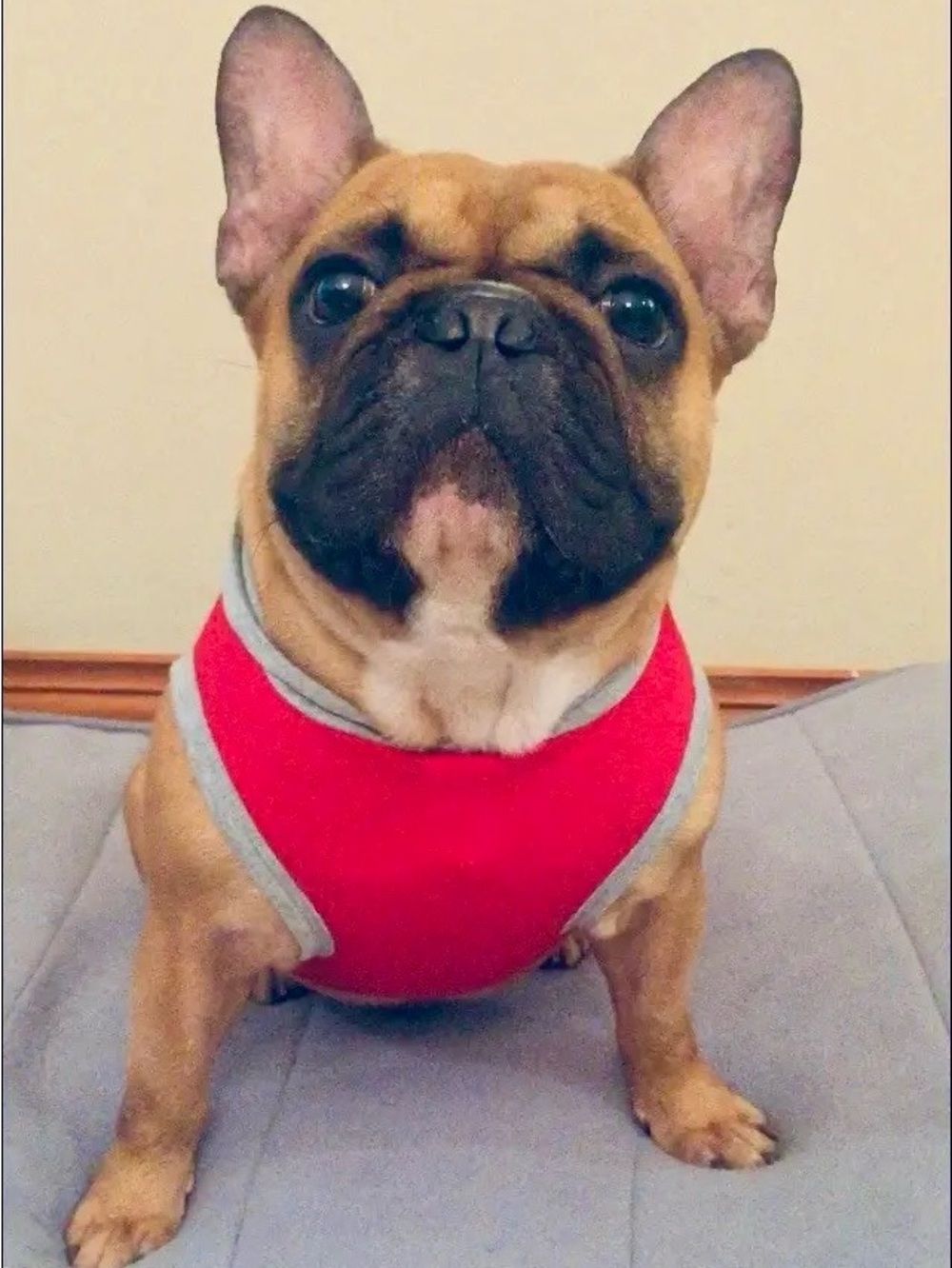 Meet your Posher, Albert